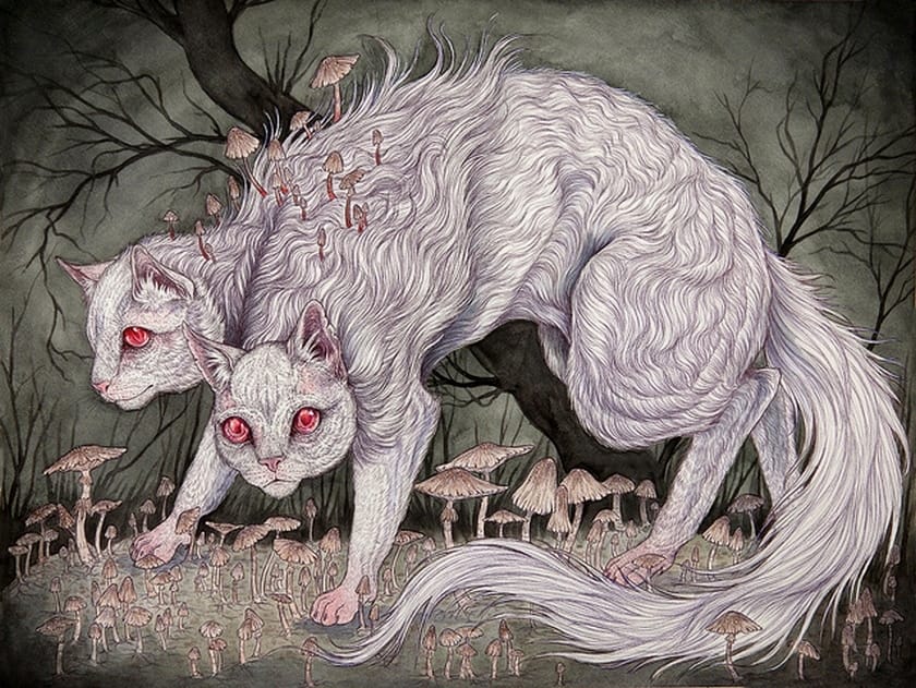 Caitlin_Hackett_cats_Beautiful_Bizarre