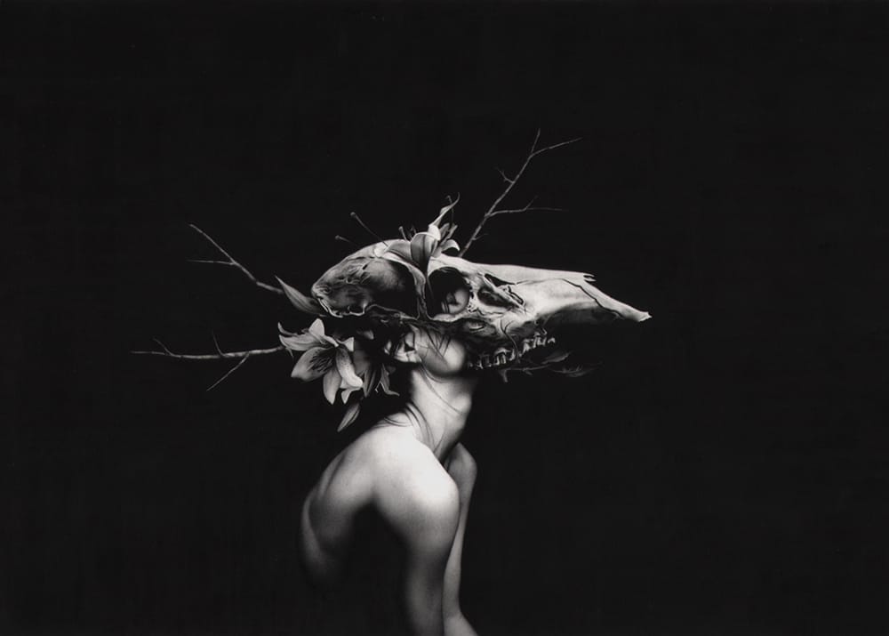 Sail_BeautifulBizarre_001