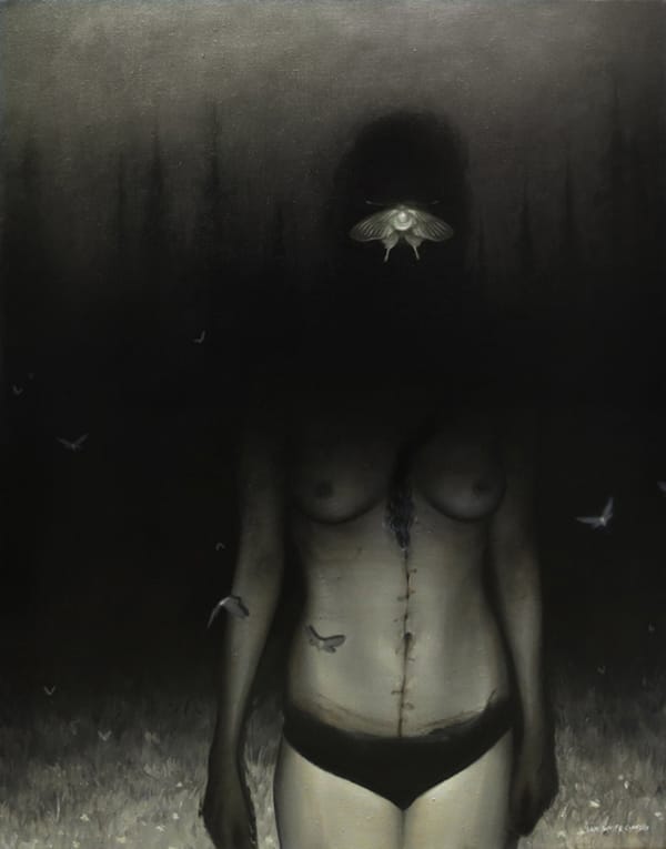 Sam Wolfe Connelly Arcadia Contemporary BeautifulBizarre