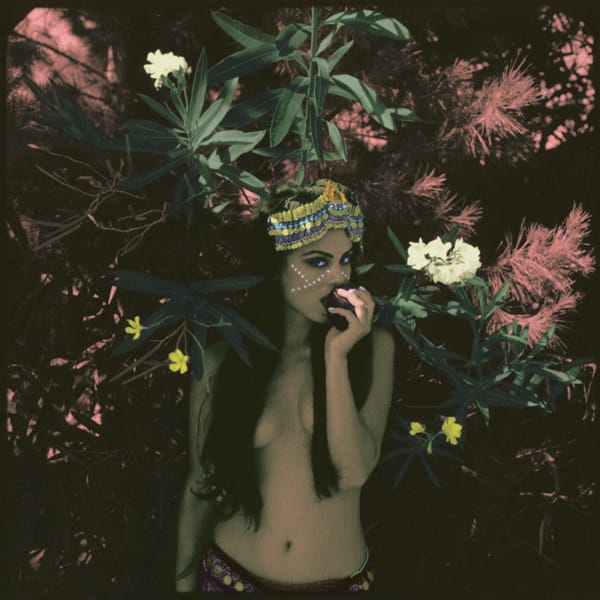 Neil Krug Photography 006