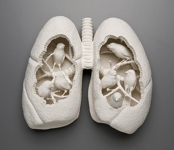 Kate_Macdowell_beautifulbizarre_000013