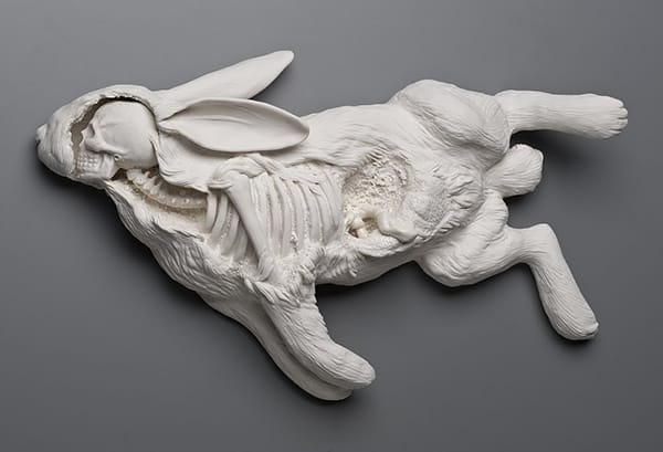 Kate_Macdowell_beautifulbizarre_00006