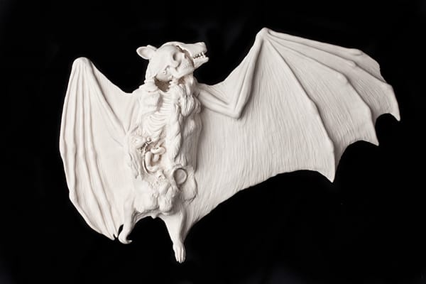 Kate_Macdowell_beautifulbizarre_00007