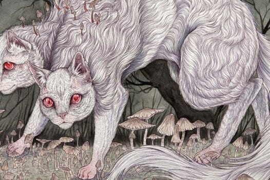 Beautiful Bizarre: Caitlin Hackett