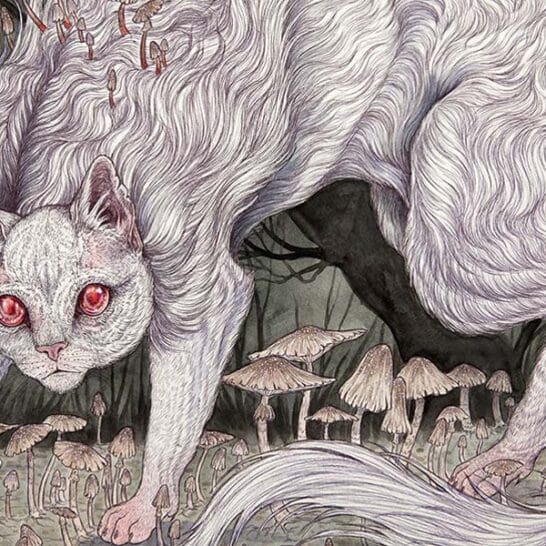 Beautiful Bizarre: Caitlin Hackett