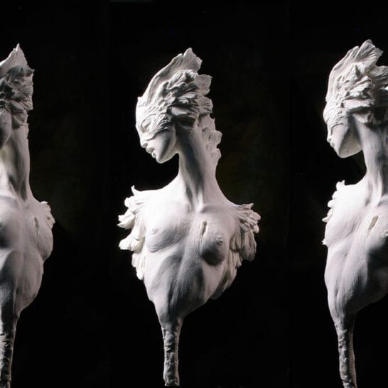 forestrogers_beautifulbizarre_featuredimage