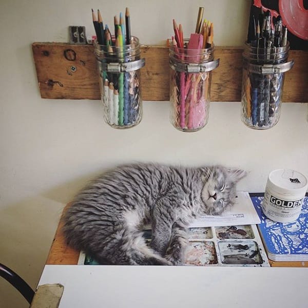 Amy Sol cat sleeping in studio 