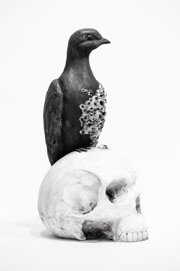 art, sculpture, sculptor, artist, Darla Jackson, beautiful bizarre, animal