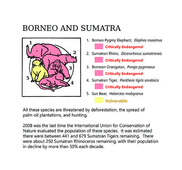 Alexis Kandra Life on Spaceship Earth wall text