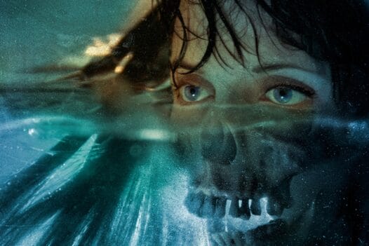 David Seidman Digital Painting Woman Half Skull Face