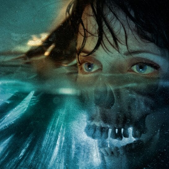 David Seidman Digital Painting Woman Half Skull Face