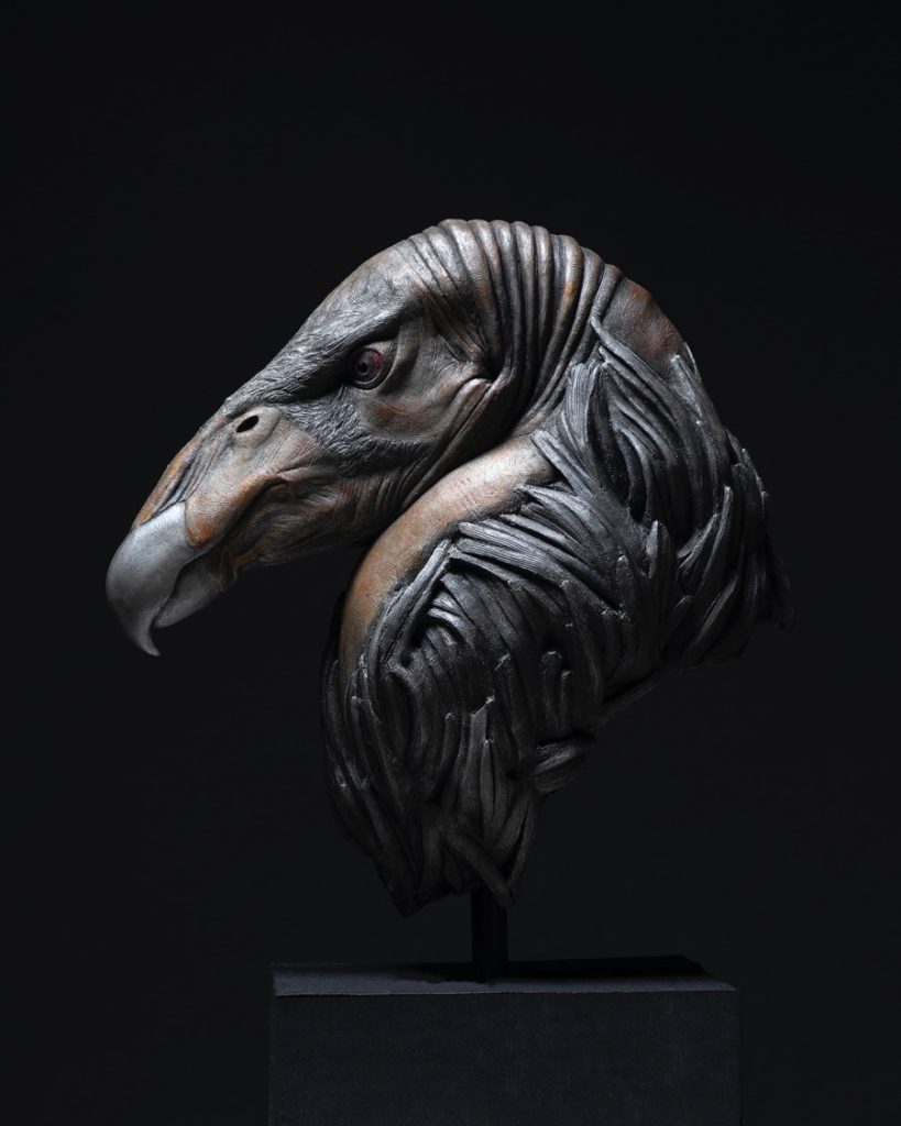 Adam Matano Condor head sculpture