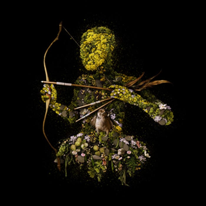 Meggan Joy digital floral art and live floral installation