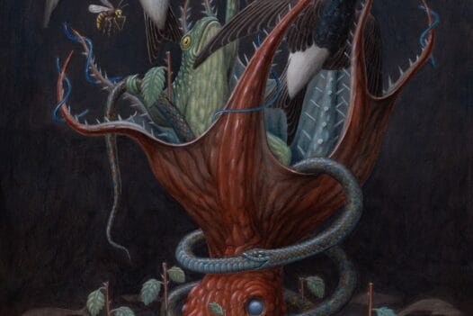 Nick Sheehy Botanical Wildlife Illustration