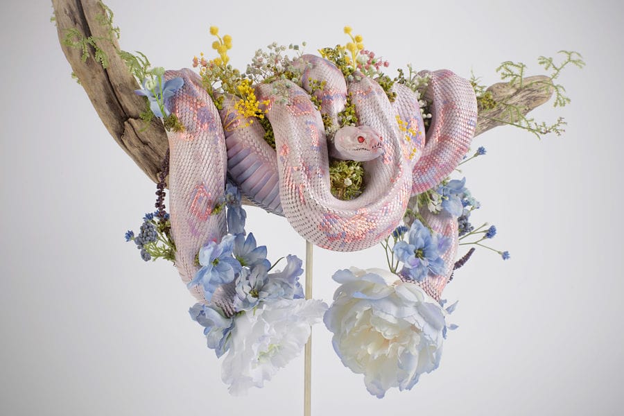 Yuuki Morita ethereal sculpture