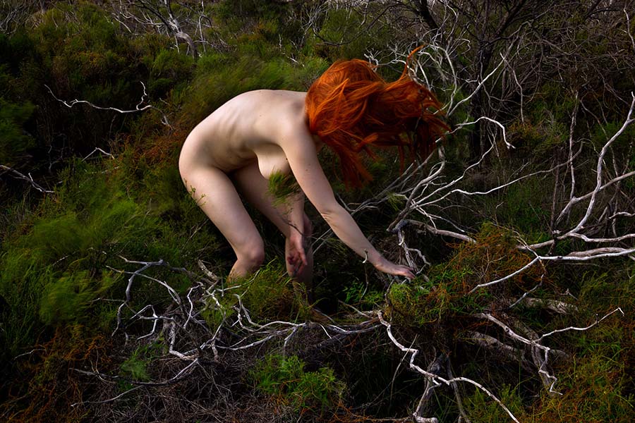 Lilli Waters - photography award entry - beautiful bizarre art prize 2020