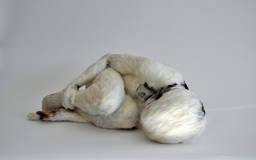 Lucy-Glendinning-sculpture