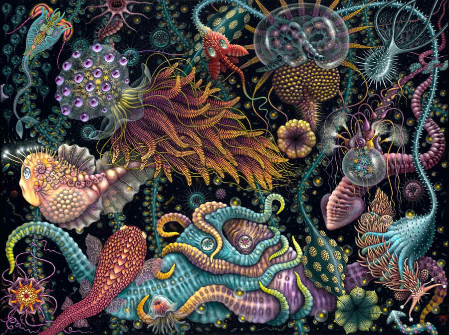 Robert Steven Connett copro gallery
