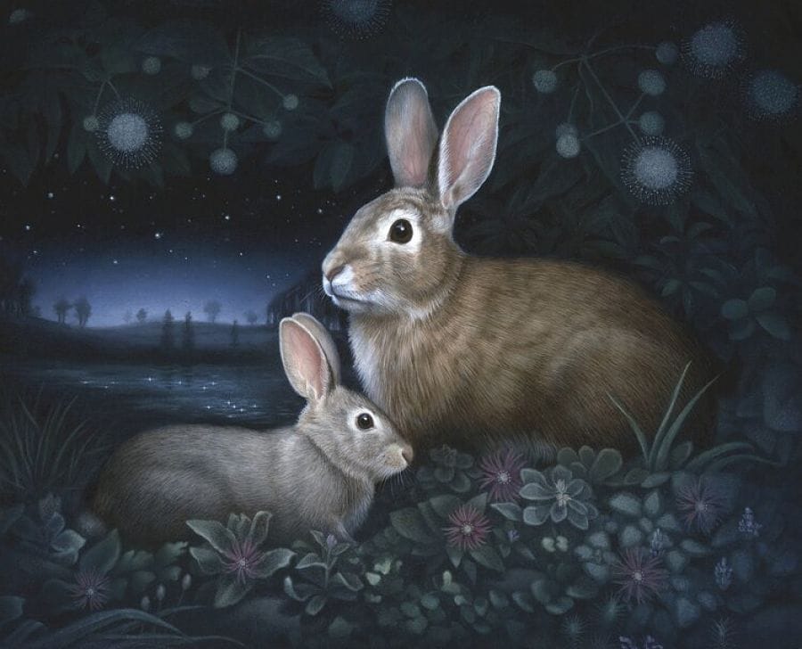 Susan McDonnell Nightwatch