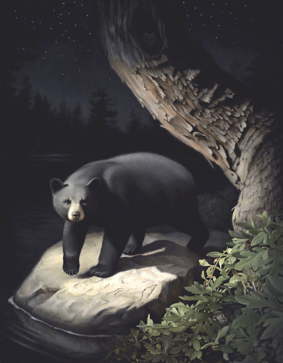 Susan McDonnell northstar