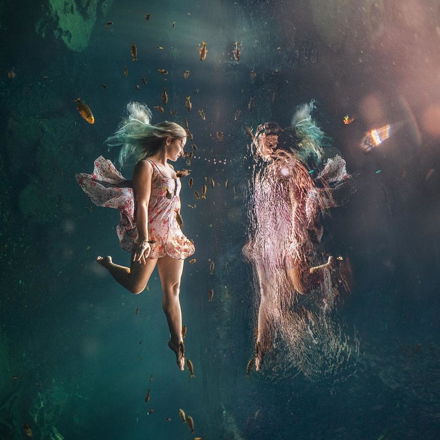 lexi laine reflections