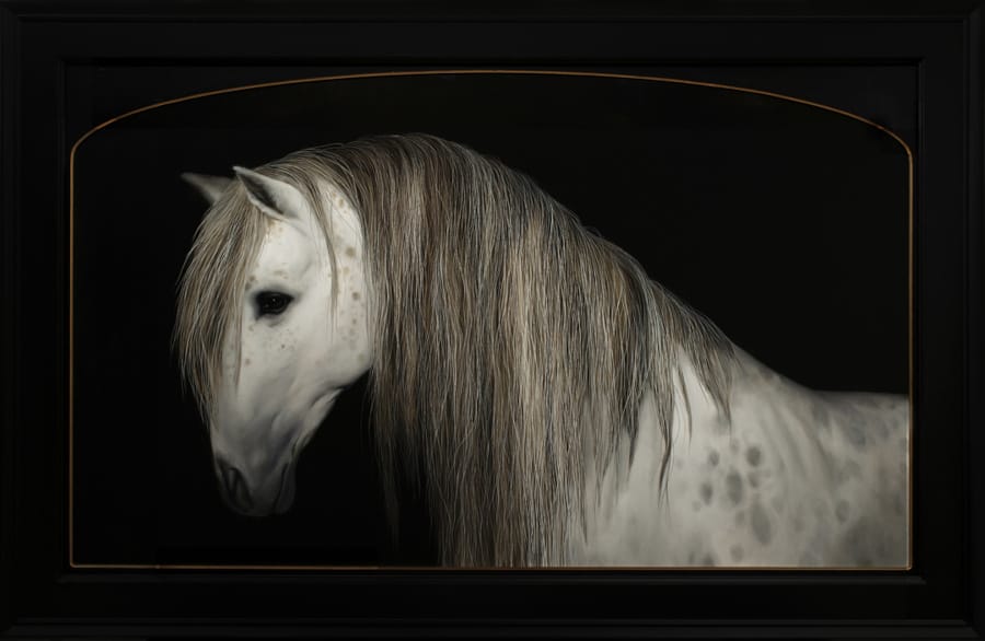 Che Leviathan horse portrait Copro Gallery