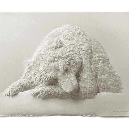 Calvin-Nicholls-bear