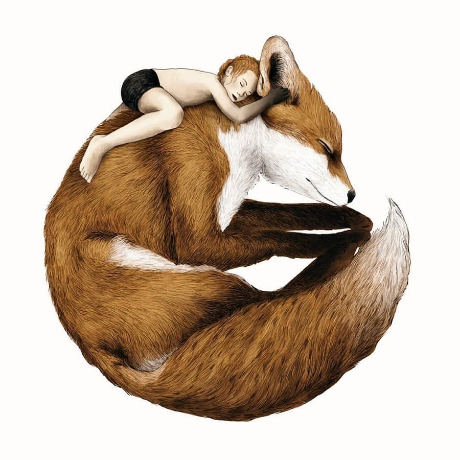 Gabriella-Barouch-fox