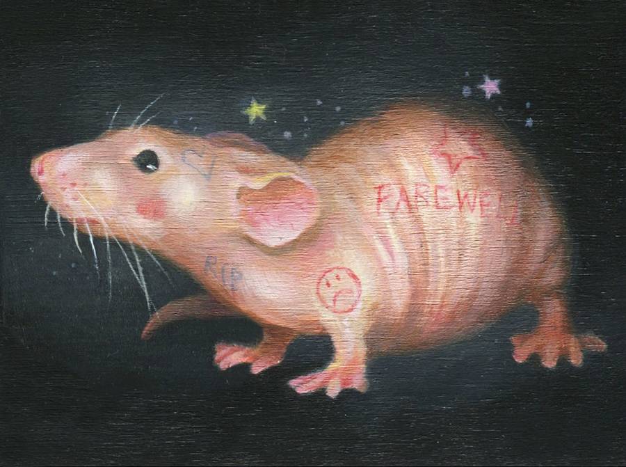 Hanna Jaeun rat The Dark Art Emporium 