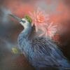 heather-denison-bird