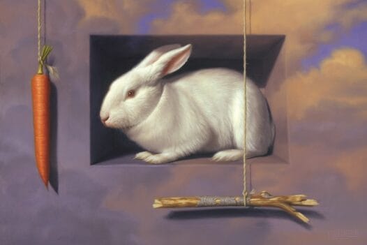 phillip-singer-rabbit