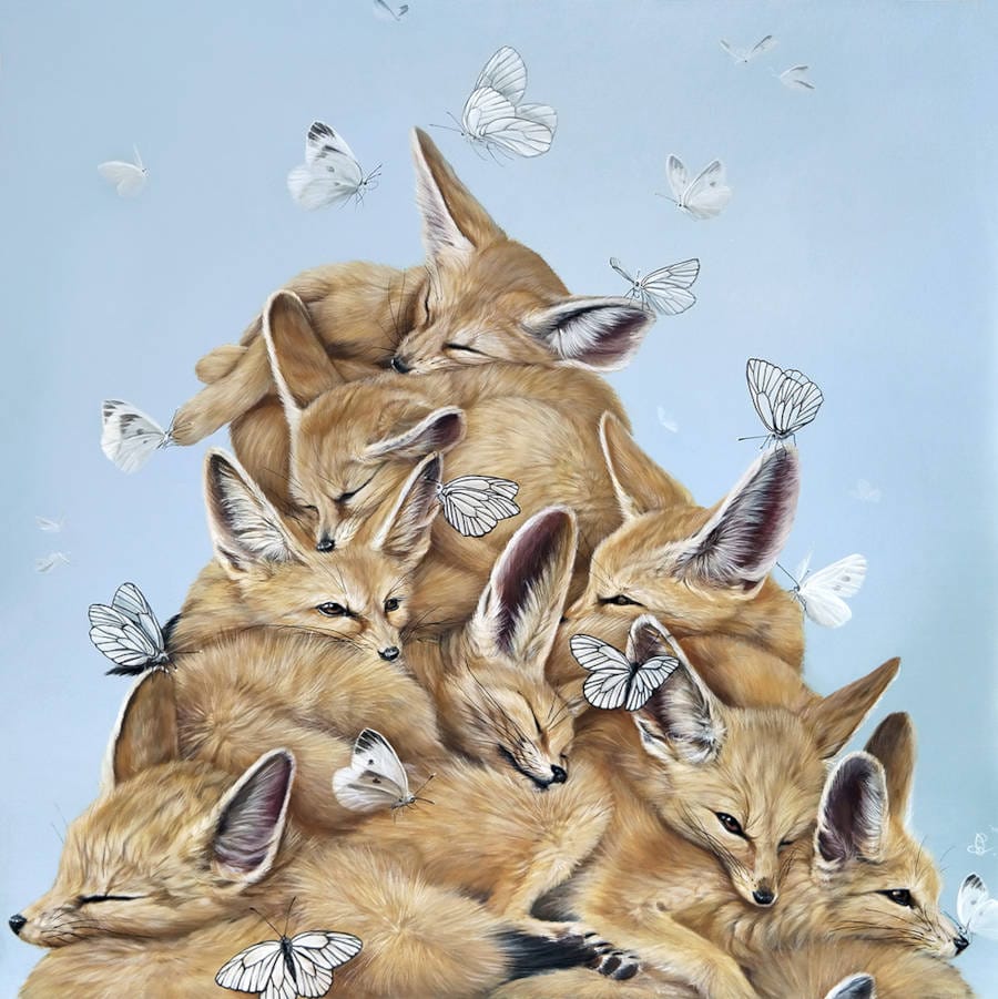 dewi-plass-community