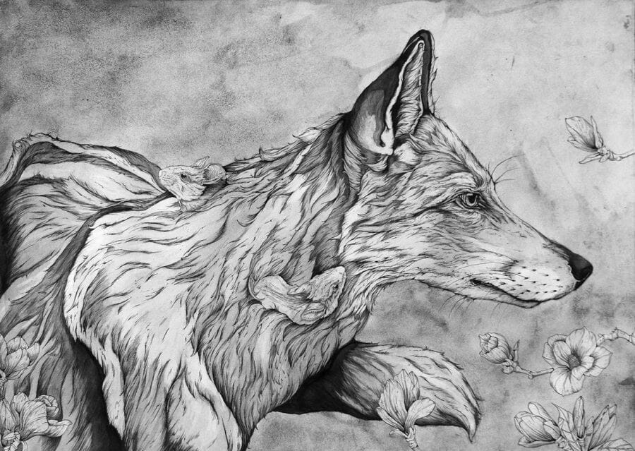 Alexander-Landerman-fox