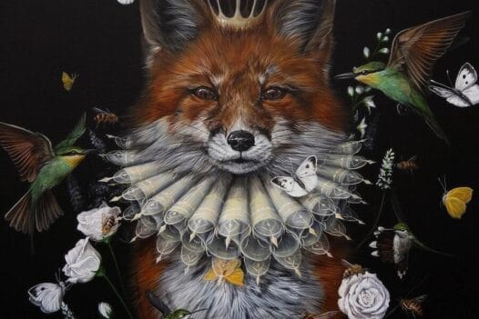 dewi-plass-fox