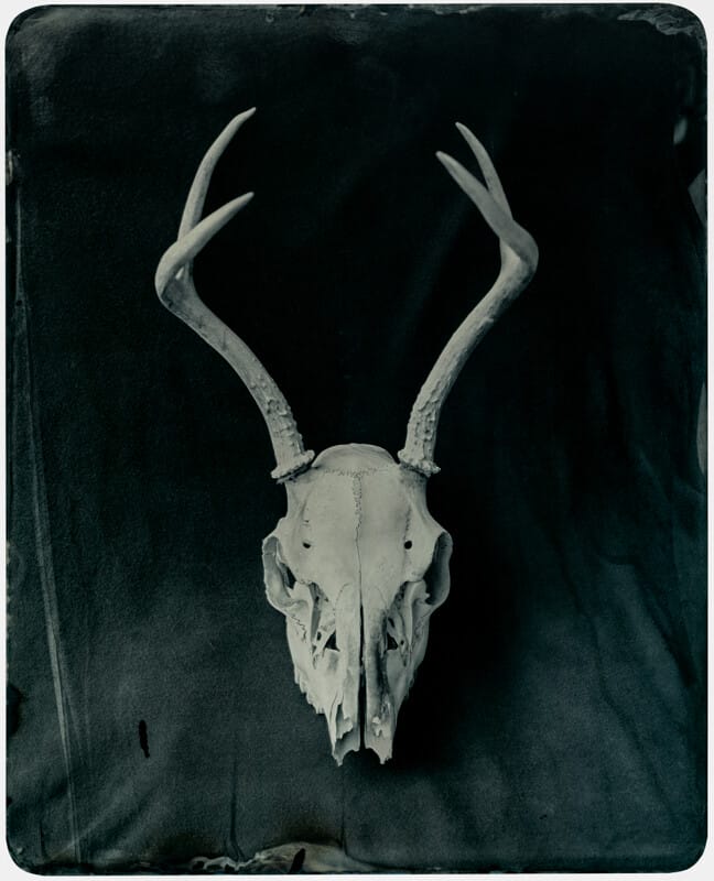 Will Gibson, Modern Tintypes @ Distinction Gallery