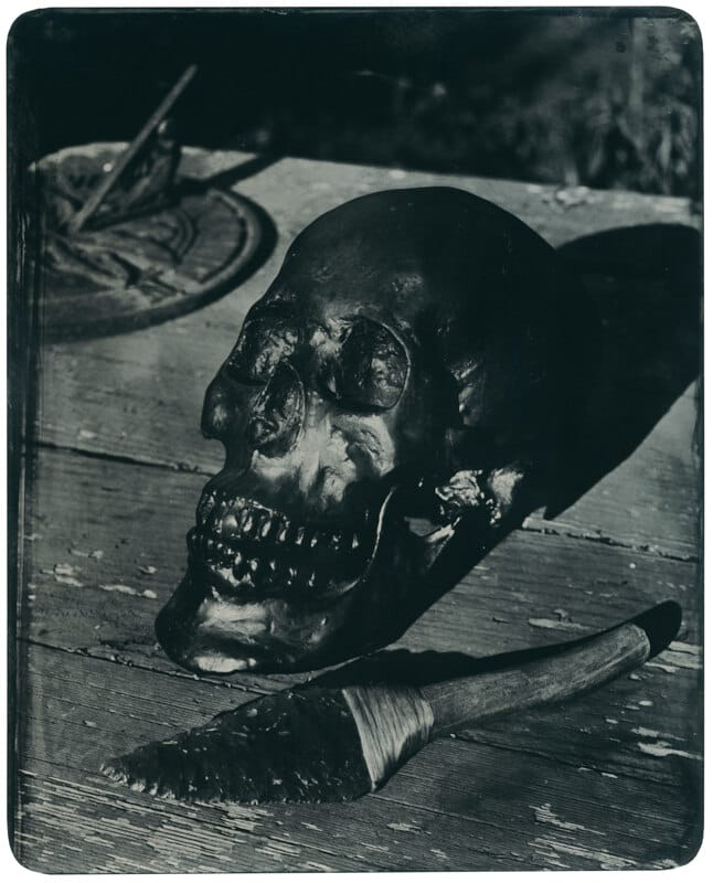 Will Gibson skull photo 