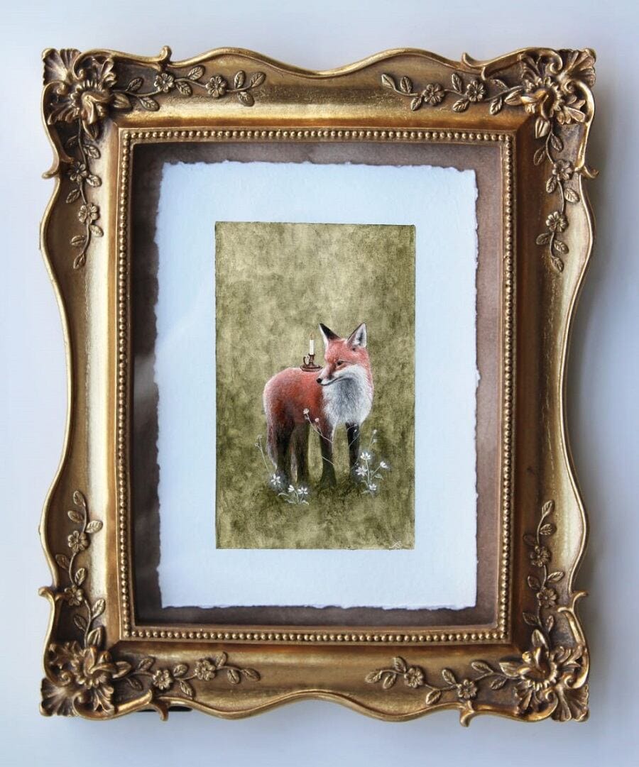 Alexis-Savopoulos-fox