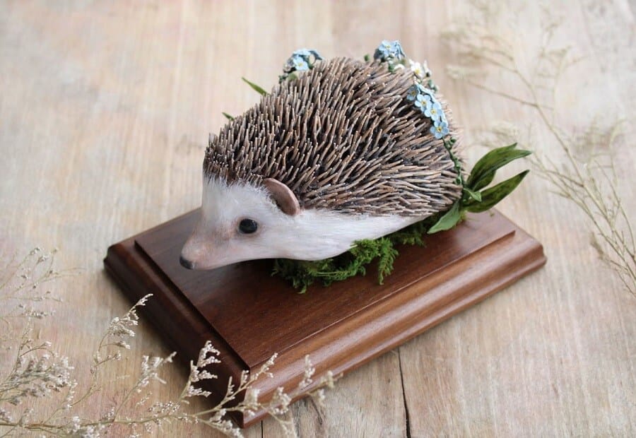 Alexis-Savopoulos-hedghog