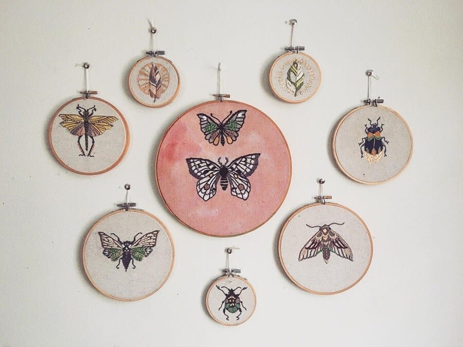 Kim-Menapace-moth