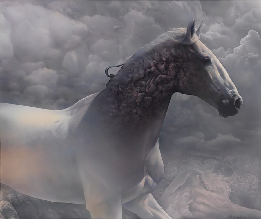 Roland-Mikhail- stallion