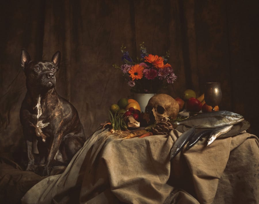 Tas Limur: Indulgent Companions