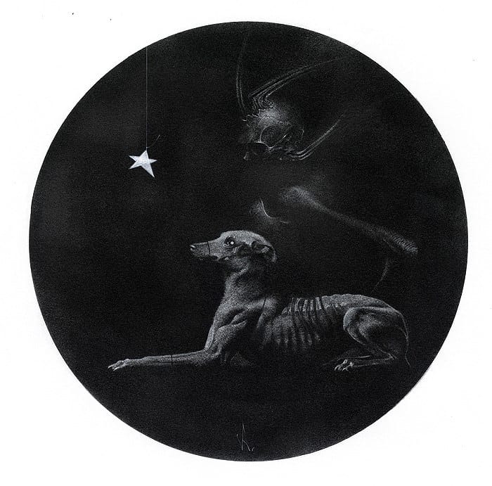 Allen-Williams-companion