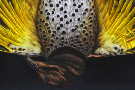 George-Boorujy-Ritual-Memory