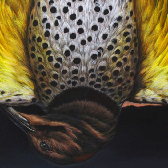 George-Boorujy-Ritual-Memory