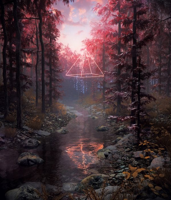 Josh Pierce pink triangle in forest