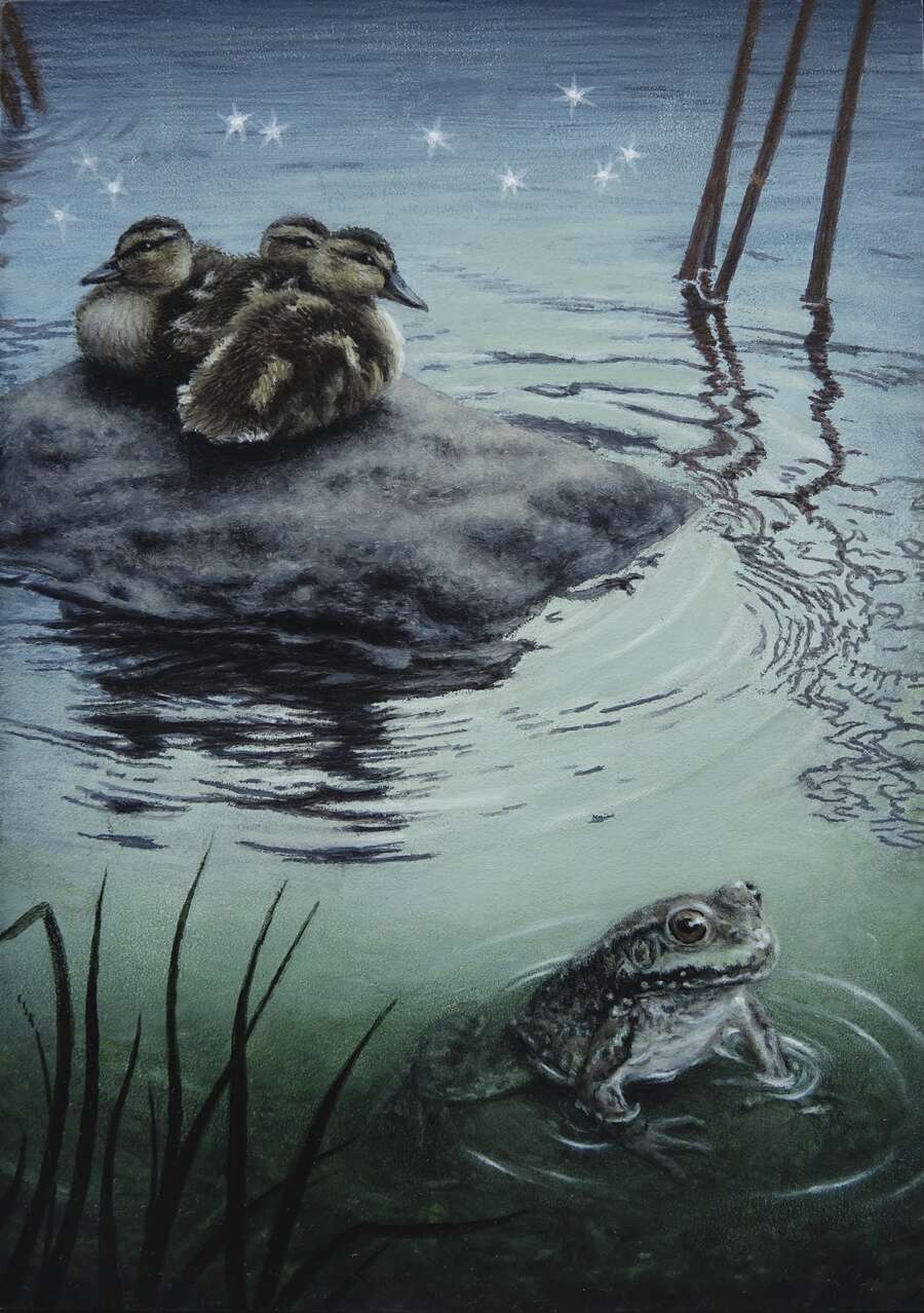 Susan Mcdonnell Deep Waters