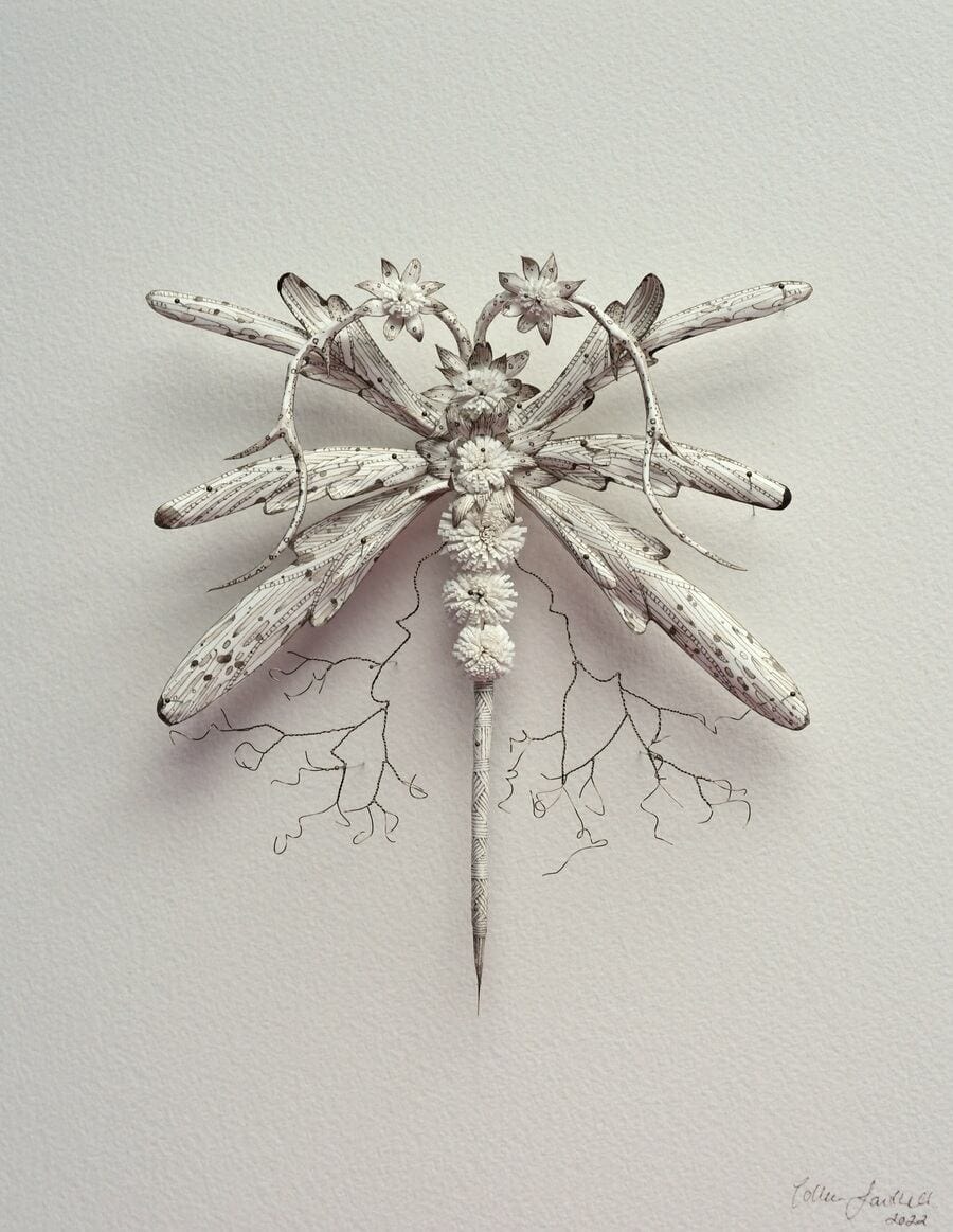 The Garden Curator Deep Waters