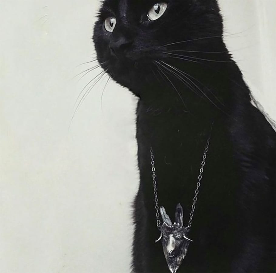 burial-ground-cat