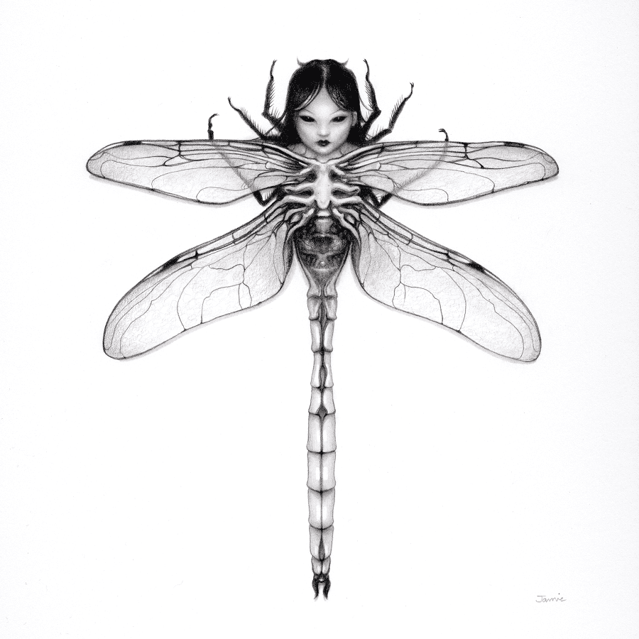 Jamie-Wells-Dragonfly