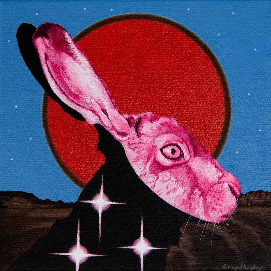 Amy-Guidry-Eclispe